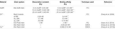 Gold Nanoparticles Augment N-Terminal Cleavage and Splicing Reactions in Mycobacterium tuberculosis SufB